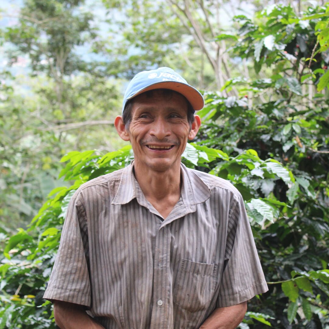 De Koffiejongens - Onze helden op het land