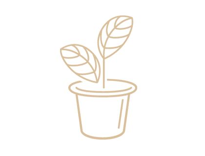 De koffiejongens - biologische koffie logo