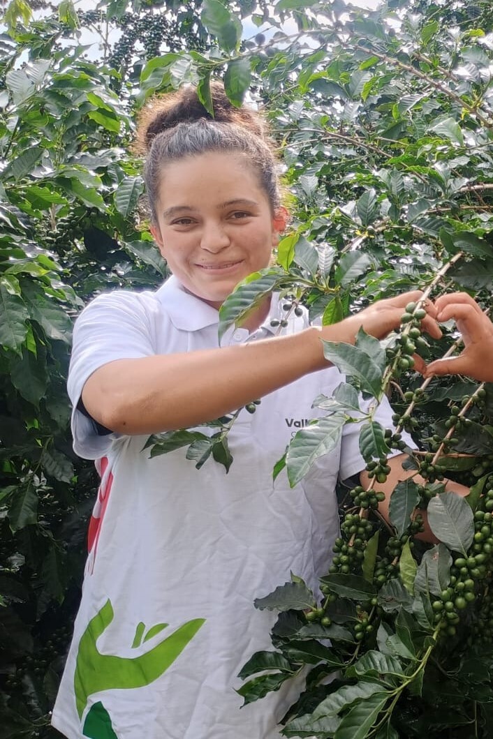 team van de koffiejongens - rosalia