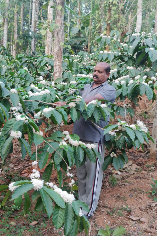 De Koffiejongens - India - Xavier Benny